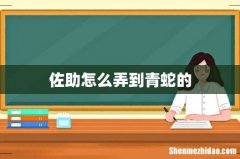 佐助怎么弄到青蛇的