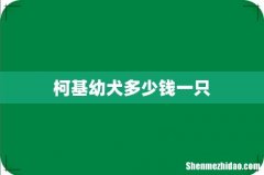 柯基幼犬多少钱一只