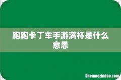 跑跑卡丁车手游满杯是什么意思