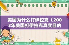 2003年美国打伊拉克真实目的 美国为什么打伊拉克