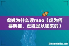 虎为何要叫猫，虎姓是从哪来的 虎姓为什么读mao