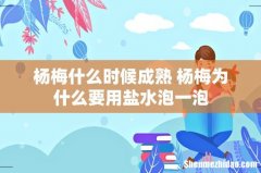 杨梅什么时候成熟 杨梅为什么要用盐水泡一泡