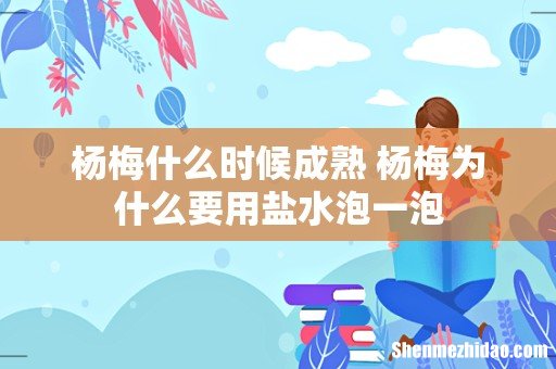 杨梅什么时候成熟 杨梅为什么要用盐水泡一泡