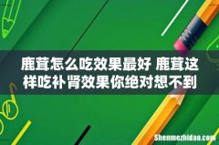 鹿茸怎么吃效果最好 鹿茸这样吃补肾效果你绝对想不到