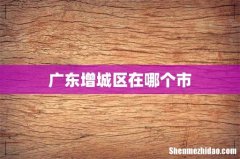 广东增城区在哪个市