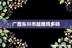 广西东兴市越南鸡多吗