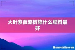大叶紫薇路树施什么肥料最好