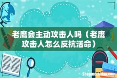 老鹰攻击人怎么反抗活命 老鹰会主动攻击人吗