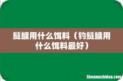 钓鲢鳙用什么饵料最好 鲢鳙用什么饵料