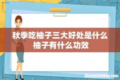 秋季吃柚子三大好处是什么 柚子有什么功效