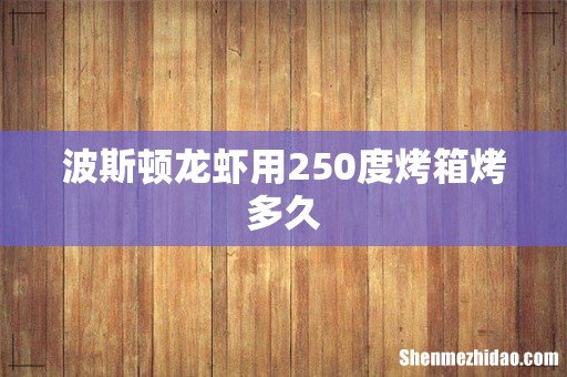 波斯顿龙虾用250度烤箱烤多久