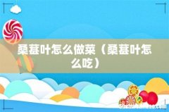 桑葚叶怎么吃 桑葚叶怎么做菜