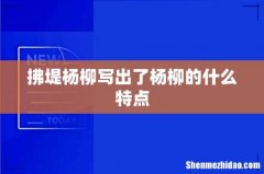 拂堤杨柳写出了杨柳的什么特点
