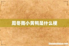 周冬雨小黄鸭是什么梗