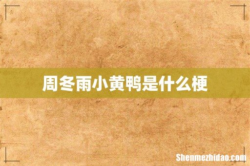 周冬雨小黄鸭是什么梗