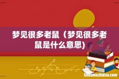 梦见很多老鼠（梦见很多老鼠是什么意思)