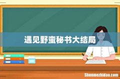 遇见野蛮秘书大结局