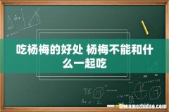 吃杨梅的好处 杨梅不能和什么一起吃