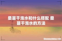 桑葚干泡水和什么搭配 桑葚干泡水的方法