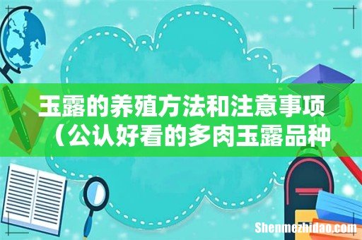 公认好看的多肉玉露品种怎么养 玉露的养殖方法和注意事项