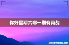 你好星期六哪一期有肖战