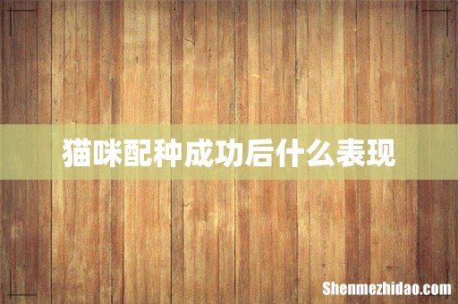猫咪配种成功后什么表现