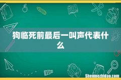 狗临死前最后一叫声代表什么