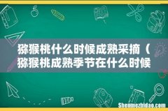 猕猴桃成熟季节在什么时候 猕猴桃什么时候成熟采摘