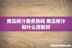 南瓜榨汁要煮熟吗 南瓜榨汁和什么搭配好