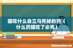 什么药猫吃了必死 猫吃什么会立马死掉的药