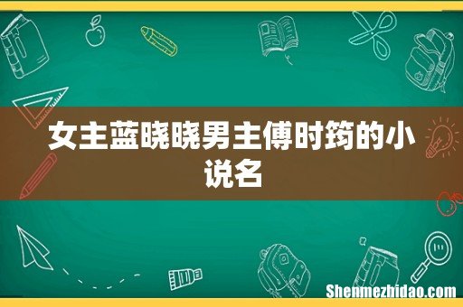 女主蓝晓晓男主傅时筠的小说名