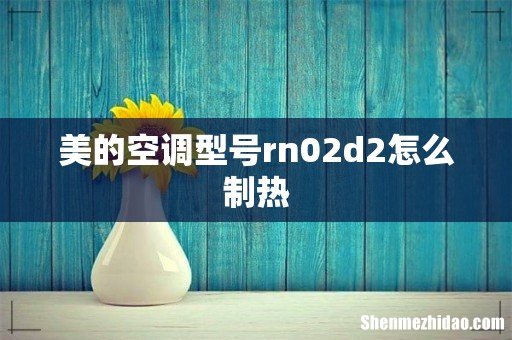 美的空调型号rn02d2怎么制热