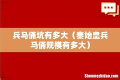 秦始皇兵马俑规模有多大 兵马俑坑有多大
