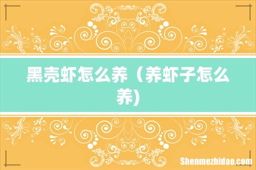 黑壳虾怎么养(养虾子怎么养)