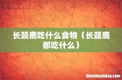长颈鹿都吃什么 长颈鹿吃什么食物