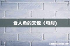食人鱼的天敌（电鳗)