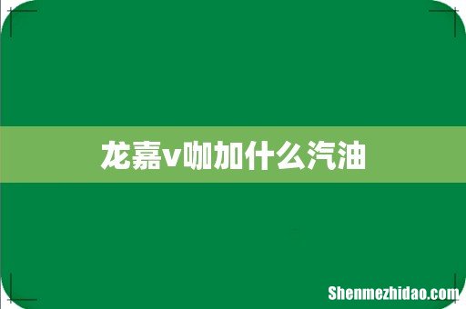 龙嘉v咖加什么汽油