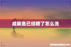 咸鲅鱼已经糟了怎么洗