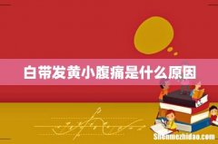 白带发黄小腹痛是什么原因