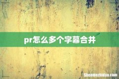 pr怎么多个字幕合并