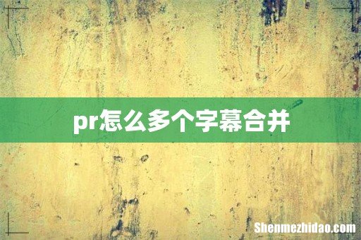 pr怎么多个字幕合并