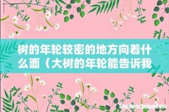 大树的年轮能告诉我们什么 树的年轮较密的地方向着什么面