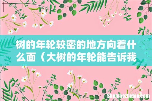 大树的年轮能告诉我们什么 树的年轮较密的地方向着什么面