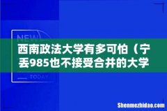 宁丢985也不接受合并的大学 西南政法大学有多可怕