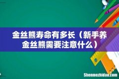 新手养金丝熊需要注意什么 金丝熊寿命有多长