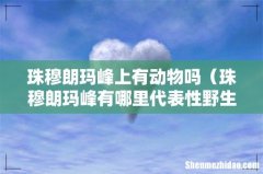 珠穆朗玛峰有哪里代表性野生动物 珠穆朗玛峰上有动物吗