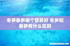 冬笋春笋哪个营养好 冬笋和春笋有什么区别
