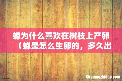 蝉是怎么生卵的，多久出来 蝉为什么喜欢在树枝上产卵