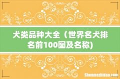 犬类品种大全（世界名犬排名前100图及名称)