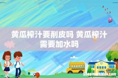 黄瓜榨汁要削皮吗 黄瓜榨汁需要加水吗
